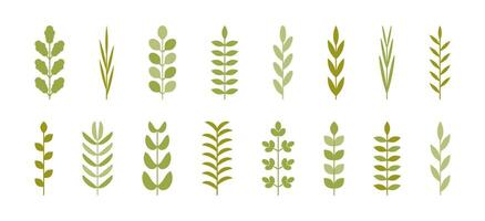 Spring leaves from simple geometric shapes set. Flat style branches with a straight stem for summer card banner poster. Green Plants and herbs botanical elements. Minimalist trendy icons collection. vector