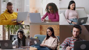 A group of six people is focused on their laptops in different home environments, showcasing a variety of work styles and settings in the afternoon light, emphasizing remote work's diversity. video