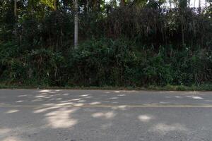 Horizontal view of asphalt road. With a yellow centerline runs alongside dense green vegetation. Shadows from the foliage fall across the road surface. Simple roadside scene. photo