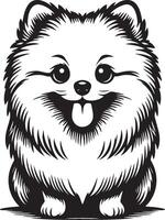 Cute Pomeranian Dog Sitting Illustration. vector