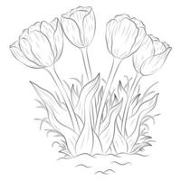 Black and white tulip flowers with branches and leaves. Hand drawn line leaves branches and grasses. vector