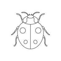 Thin line ladybug illustration isolated on white background vector