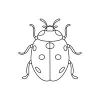 Ladybug linear icon. Thin line illustration isolated on white background vector