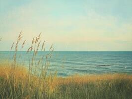 Serene shoreline with golden grass swaying gently in the soft ocean breeze at sunset photo