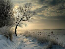 Snowy riverside landscape with a lone tree under a cloudy sky during winter twilight photo