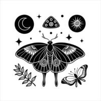 Celestial Winged Moth vector