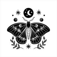 Luna Moth in Moonlight vector