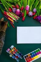 A cat looking at a sheet of paper photo
