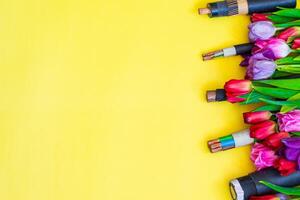 closeup of a electric cable on yellow background with tulip photo