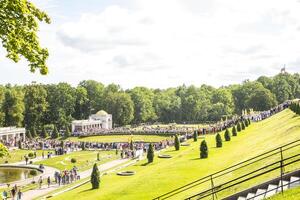 A large green lawn with trees and people photo