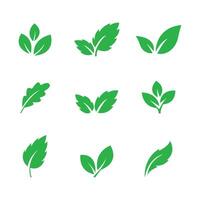 Set of green leaf icons. Leaves of trees and plants. Collection of green leaf. illustration vector