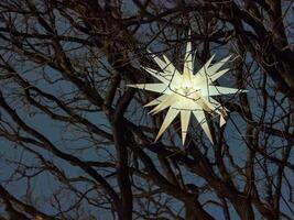 A glowing Christmas star lantern shines brightly among the bare branches of a tree in the city at night, creating a festive and magical holiday atmosphere photo