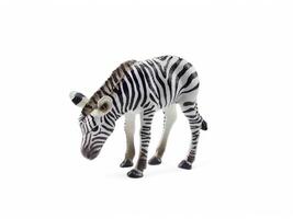 A toy zebra standing on a white background photo
