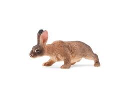 A toy rabbit is shown on a white background photo