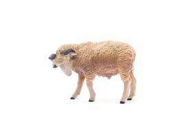 A toy sheep is standing on a white background photo