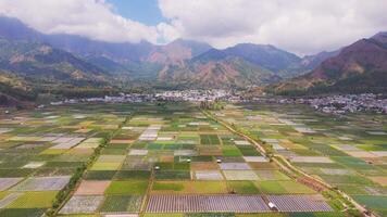 Aerial view of farmland with distant village and mosque in Lombok video