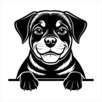Adorable Rottweiler Stock vector