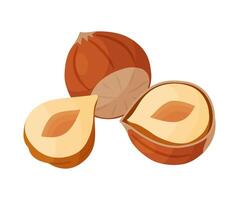 Hazelnuts ripe and tasty. Half and whole hazelnuts shelled and unshelled. Hand drawn trendy flat style isolated icon. Healthy treat, snacks, peeled and unpeeled forest nuts icons vector