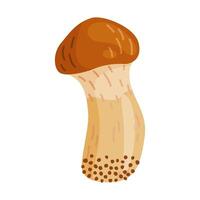 Small Suillus luteus, yellow mushroom. Edible forest fungus slippery jack or sticky bun. Suillus mushroom or yellow pig Hand drawn trendy flat style isolated icon. illustration vector