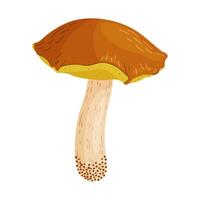 Suillus luteus, yellow mushroom. Edible forest fungus slippery jack or sticky bun. Suillus mushroom or yellow pig Hand drawn trendy flat style isolated illustration vector