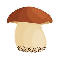 Porcini mushroom. Edible forest mushroom Hand drawn trendy flat style isolated icon. Fresh boletus. Autumn fungus. cep, penny bun, porcino. Botanical icon vector