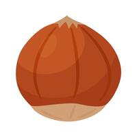 Hazelnut ripe and tasty. Whole hazelnut in shell. Hand drawn trendy flat style isolated icon. Healthy treat, snacks, unpeeled forest nut. illustration vector