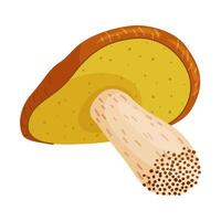 Suillus luteus, yellow mushroom. Edible forest fungus slippery jack or sticky bun. Suillus mushroom or yellow pig. flat style isolated icon. illustration vector
