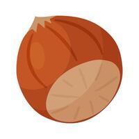Hazelnut ripe and tasty. Whole hazelnut in shell. Hand drawn trendy flat style isolated icon. Healthy treat, snacks, unpeeled forest nut icon vector