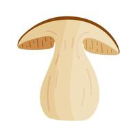 Porcini sliced mushroom. Edible forest mushroom Hand drawn trendy flat style. Fresh boletus mushroom slice. Autumn fungus Botanical illustration vector