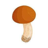Suillus luteus, yellow mushroom. Edible forest fungus slippery jack or sticky bun. Suillus mushroom or yellow pig Hand drawn trendy flat style isolated vector
