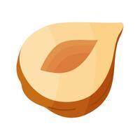 Hazelnut ripe and tasty. half a hazelnut without shell. Hand drawn trendy flat style isolated icon. Healthy treat, snacks, peeled forest nut. illustration vector
