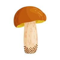 Suillus luteus Yellow mushroom. Edible forest fungus slippery jack or sticky bun. Suillus mushroom. yellow pig, trendy flat style isolated icon. illustration vector