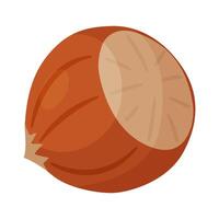 Hazelnut ripe and tasty. Whole hazelnut in shell. Hand drawn trendy flat style isolated icon. Healthy treat, snacks, unpeeled forest nut vector