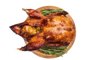 Baked whole duck with apples on wooden board isolated on white background. top view photo