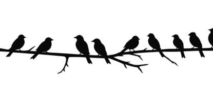 Birds on a branch silhouette illustration on a background. vector