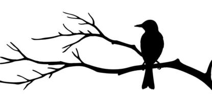 Bird on tree branch illustration on a background vector