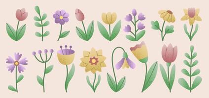 Flat illustration of various spring flowers with soft gradients, textured details. Includes tulips, daisies, wildflowers, and decorative plants in pastel colors. Ideal for invitations, greeting cards. vector