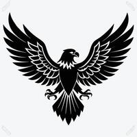 The eagle, predatory bird, flies with outstretched wings. Figure isolated on a white background. A large wild bird eagle flies with outstretched wings. vector