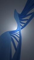 Vertical science background animation with a microscopic view of rotating DNA double helix strands. This genetics concept background is full HD and a seamless loop. video