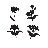 Vectors set with outline Jasmine flowers, bud, and leaves in black isolated on white background.