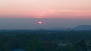 Golden hour transforms the forest into a magical scene, with soft light illuminating the branches and leaves. A peaceful escape into the beauty of nature at dusk. video