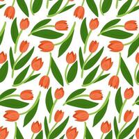 Colorful seamless pattern with red tulips and green leaves on a white background in flat illustration style vector