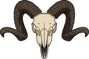Detailed illustration of a ram skull with large, curved horns in a minimalistic style, showcasing natural textures and features in art vector