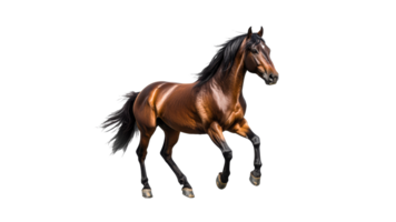 Dynamic brown horse running gracefully in motion png
