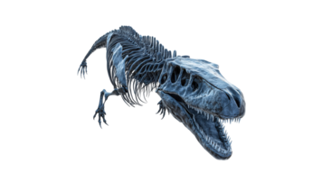 Dinosaur skeleton display in a museum setting png