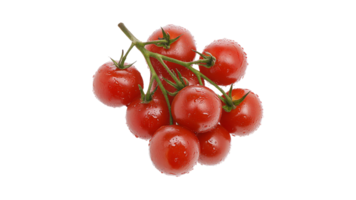 Fresh cherry tomatoes on a vine ready for use png