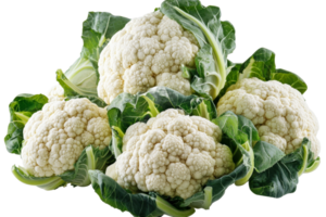 Fresh cauliflower heads arranged for culinary use png
