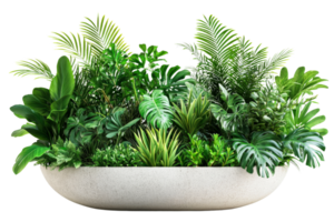 Indoor garden display with various lush plants png