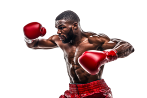 Boxer practicing technique in training session png