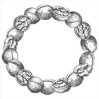 round frame of walnuts. Wreath of open walnut kernel, whole walnut. Design for packaging of nut paste, liqueur or oil. Black and white sketch isolated on white background. Engraving style, ink. vector